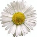 Életmód tanácsadás